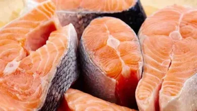 The Dark Truth of Farmed Salmon: Environmental Concerns Unveiled